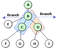 Branch diagram