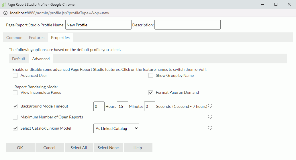 Page Report Studio Profile dialog box - Properties - Advanced tab